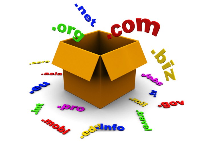 3d illustration of box with domain names inside